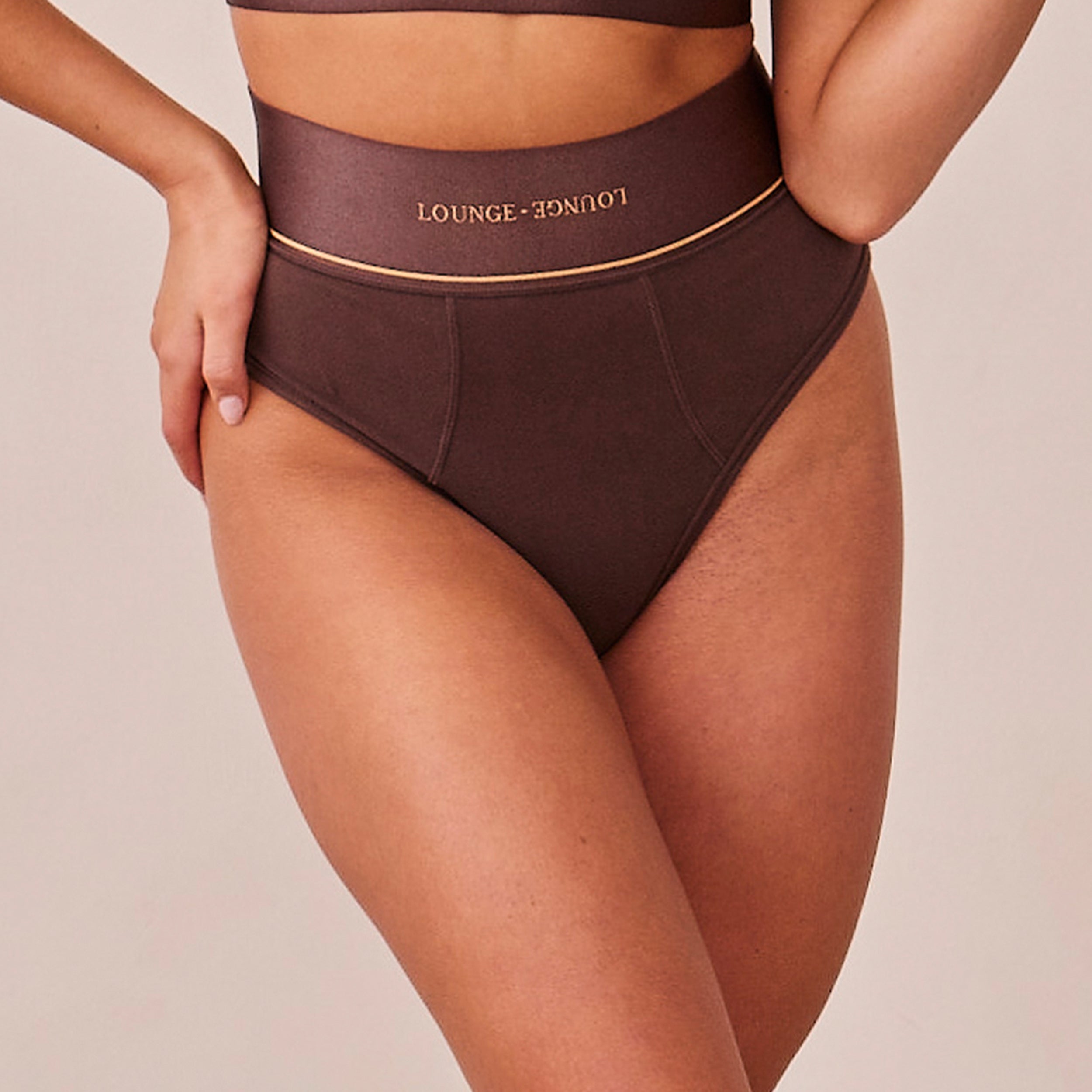 Loungerie Briefs Chocolate